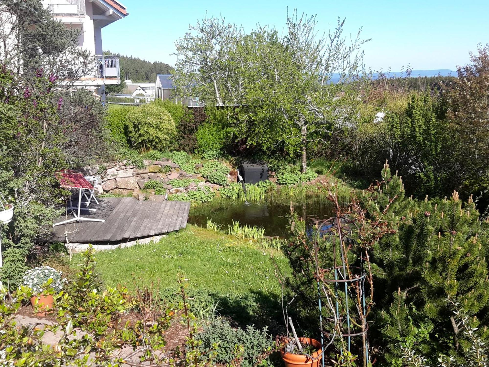 Ferienwohnung Sonnenblick Eisenbach  Eksteriør billede